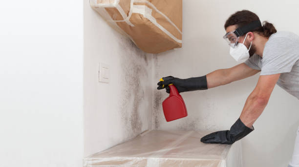 Professional Crawl Space Mold Remediation technician working in Riverside, MD